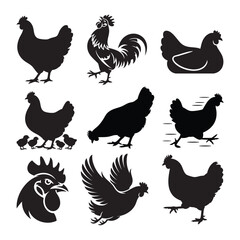 Chicken and rooster silhouette set, farm birds collection, hen with chicks vector. © Toufik