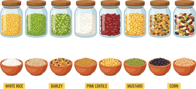 Organic grains and legumes vector set with glass jars and ceramic bowls containing rice barley lentils mustard corn isolated on white background