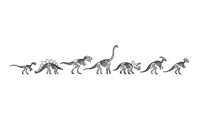 Dinosaur Skeleton Line Art Illustration Set on White Background © tere