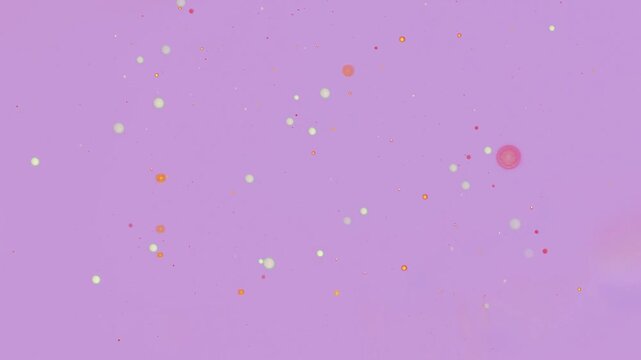 Color Wisteria C9A0DC Hex Code Multicolored Shimmering Particles Backgrounds seamless loop animation vintage minimal glossy background content retro wallpaper modern template abstract creative banner 