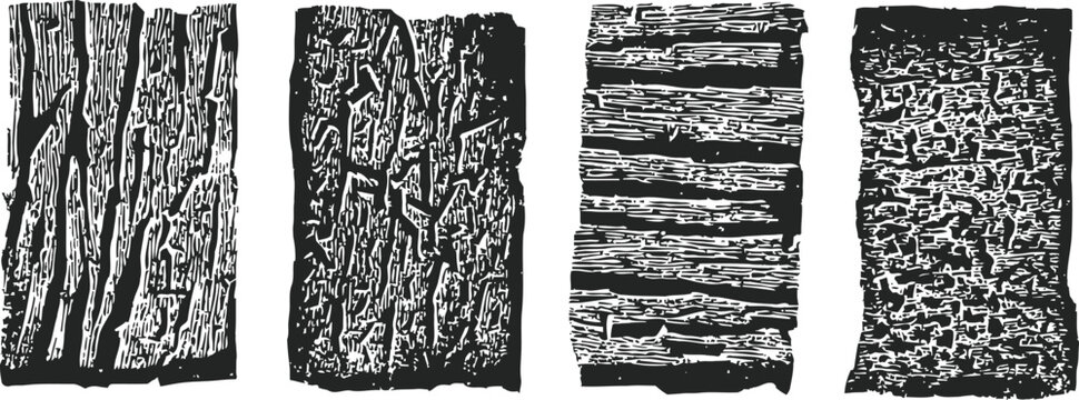 wood texture engraving set bark pattern rustic tree grain rough natural surface vintage design illustration