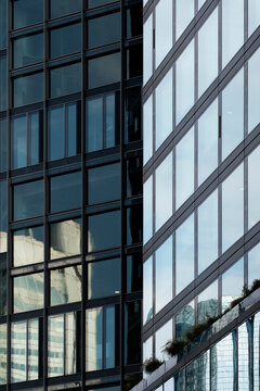 Frankfurt district density appears in a vertical glass skyscraper facade, with office windows and reflection held inside precise architecture