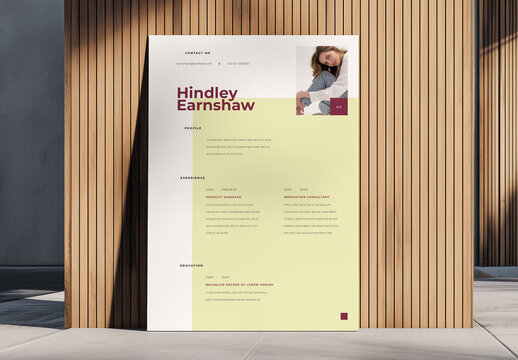 Elegant Resume Design Template