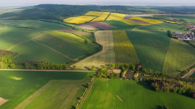 Aerial view of rolling green hills and agricultural fields with a small village and patches of forest under soft sunlight in Chvalkovice, Hradec Kralove Region, Czechia.
