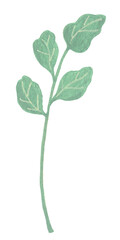Obraz premium Vintage green leaf stem with long narrow leaves gouache illustration