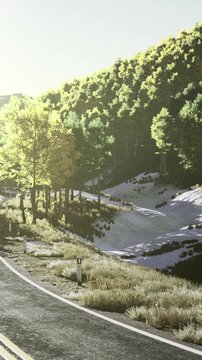 A winding road runs through a forest with tall trees and patches of snow. Sunlight shines on the landscape, showing the beauty of nature in a mountain region.