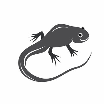 Cartoon Tadpole with Legs