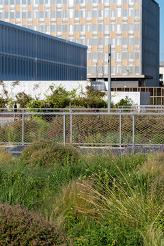 Urban plants and greenery fill the lower frame in Lyon, where trees sit before a glass facade and building architecture in France