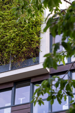 Greenery grows close to a Lyon glass facade, with trees and plants narrowing the view of urban building architecture in France today