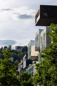 Lyon hillside architecture steps behind trees and greenery, where plants meet a glass facade on an urban building edge in France today