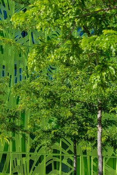 Behind trees in Lyon, a glass facade becomes a green urban surface as plants and greenery cover layered building architecture in France