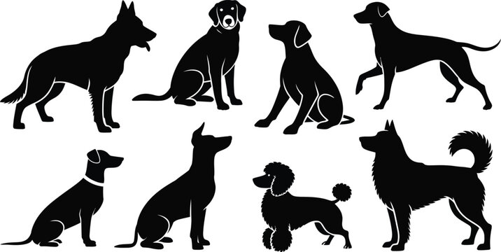 Set of black silhouettes of different dog breeds isolated on white...