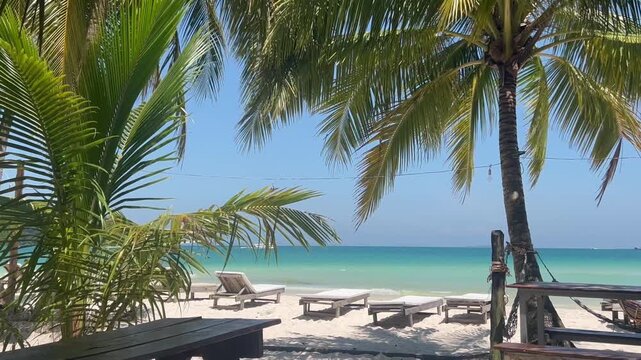 Empty sunbeds line a peaceful tropical beach under swaying palm trees.