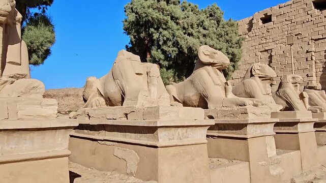 Karnak Temple in Luxor, Egypt. Ram-headed sphinx alley at Karnak Temple. Ancient stone statues of Amun god along sacred processional avenue.