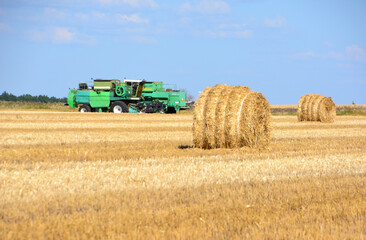 Fototapeta premium Combine Harvester in a Golden Wheat Field with Hay Bales