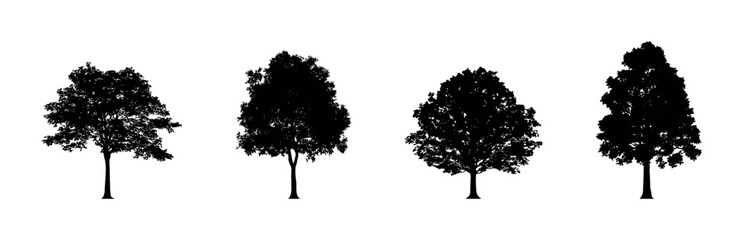 Fototapeta premium Collection of four distinct tree silhouettes against a white background