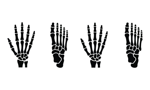 Skeleton Hand and Foot Silhouette Set Isolated on White