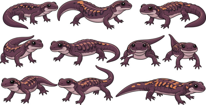 Cute salamander cartoon character collection with different poses walking crawling standing isolated on white background vector illustrationCute salamander cartoon character collection with different 