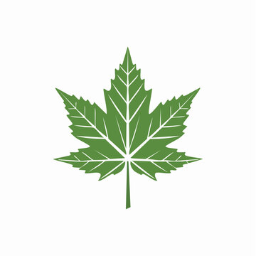 Green Maple Leaf Icon