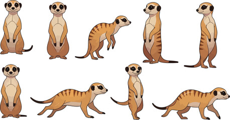 Set of cute desert meerkat vector illustrations in various standing and crawling positions for safari wildlife design elementsSet of cute desert meerkat vector illustrations in various standing and cr © Snowar