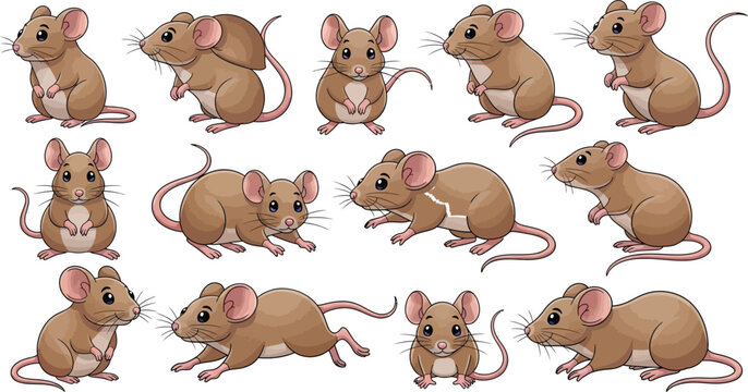 Set of cute brown mice vector illustrations in various crawling and standing positions for wildlife design elementsSet of cute brown mice vector illustrations in various crawling and standing position