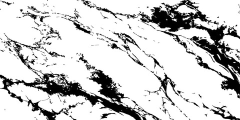 Obraz premium Premium White Marble Surface Texture with Flowing Black Veins for Luxury Tile and Interior Design.