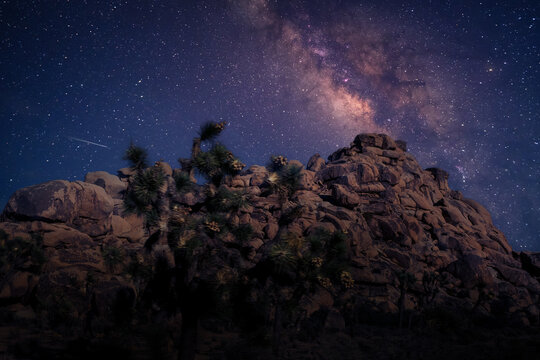 night sky and stars, The Milky Way over Joshua Tree National Park
