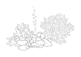 Black and white line of underwater coral reef with bubbles ocean © Musfiqur