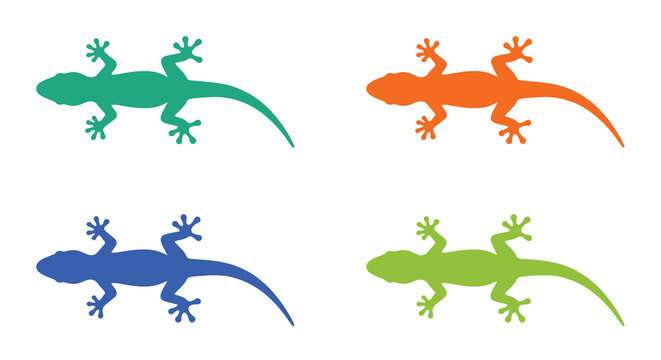 lizard silhouettes colorful flat design on white background