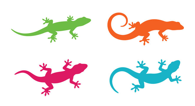 lizard silhouettes in vibrant colors on a white background