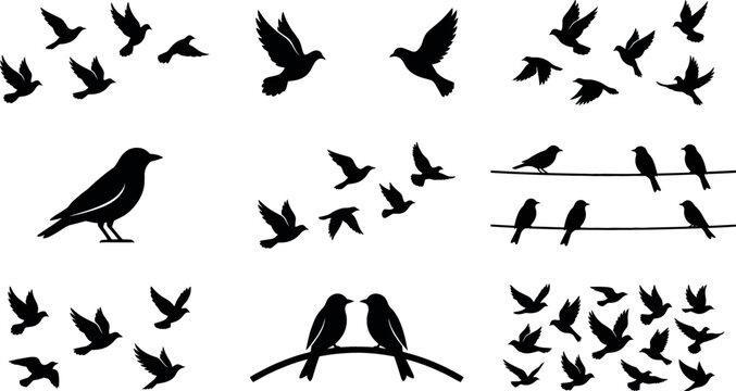 Flock of birds silhouette collection featuring flying doves, crows sitting on wires, lovebirds on a branch, and wild bird vector elements.