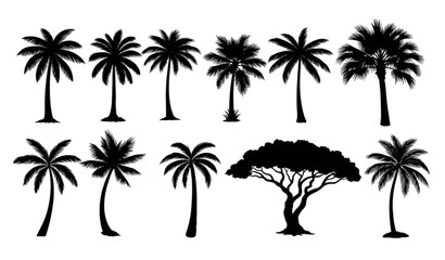 Obraz premium Modern tropical palm tree collection with black silhouette vector design