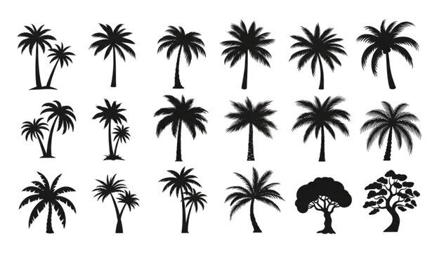 Tropical coconut palm tree icon set in clean black silhouette vector illustration style