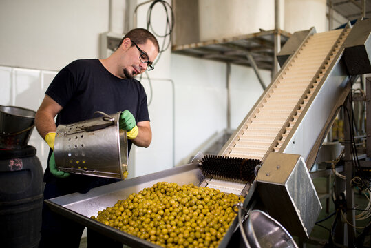 Man working at olives factory