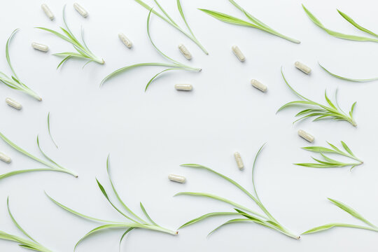 Alternative herbal medicine - herbs and pills on white. Homeopathy treatment, top view