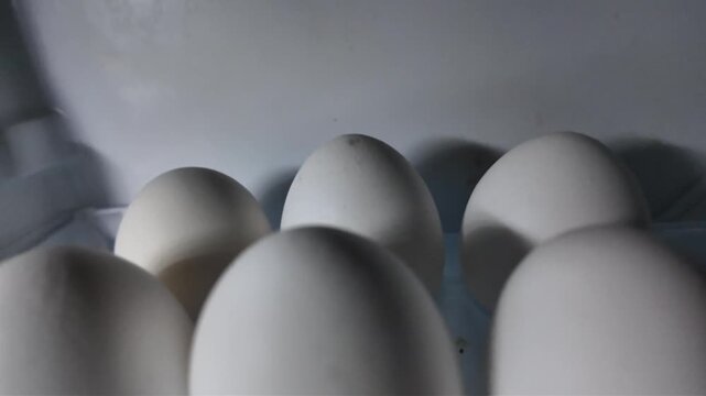 A video showcasing a close-up view of white eggs in a carton