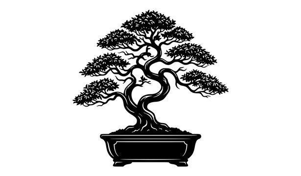 Elegant bonsai tree silhouette vector with decorative pot