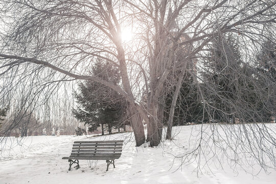 bench in the snow in Harbin China in winter