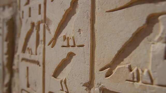 Extreme macro closeup of crisp ancient Egyptian hieroglyphic relief carvings on limestone wall inside Elephantine Island temple, Aswan, Egypt, showing bird, eye and water symbols.