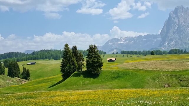 Breathtaking summer view of Alpe di Siusi meadows and Dolomiti Alps Sassolungo and Sassopiatto mountains in South Tyrol, Italy, in sunny spring day