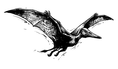 Graphic Pterodactylus Dinosaur Hand Drawn Vector with Grunge Silhouette Design © Joy
