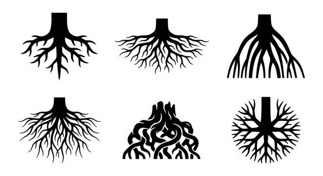 Diverse Tree Root Systems, Organic Plant Foundation Icons, Natural Growth Structure Silhouettes, Botanical Biology Vector Set