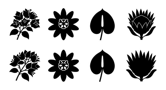 Botanical Icons Set: Bougainvillea, Passion Flower, Anthurium Leaf, Protea Flower Silhouettes. Elegant Floral Vector Graphics for Design Projects.