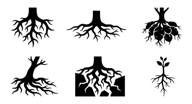 Diverse Tree Root Systems Collection, Botanical Plant Foundation Icons, Organic Growth Structures, Natural Biology Elements, Ground Anchor Shapes