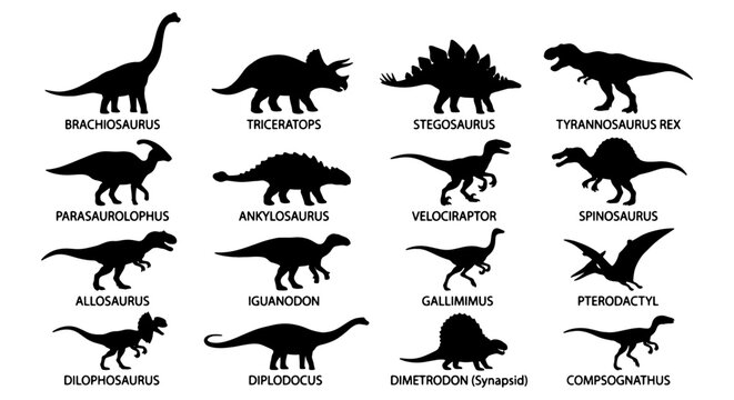 Collection of 16 Dinosaur Silhouettes, Prehistoric Reptiles Vector Set, Jurassic Era Creatures, Educational Icons