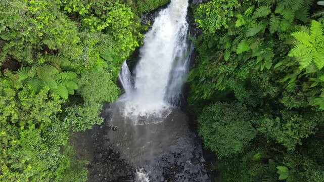 Aerial Drone Footage of Gomblang Waterfall in Dense Tropical Forest, Java Indonesia