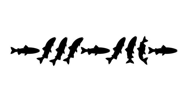 School of Salmon Swimming Upstream, Dynamic Fish Migration Vector Art, Aquatic Wildlife Silhouette Collection, Nature Movement Illustration