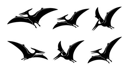 Pterodactyl Silhouette Collection, Prehistoric Flying Reptile Vector Icons, Ancient Dinosaur Winged Creatures Set, Black and White Graphic Elements © Samim