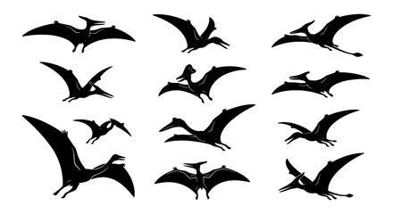 Pterodactyl Silhouettes Collection, Flying Prehistoric Reptile Vector Icons, Ancient Dinosaur Winged Creatures Set © Samim