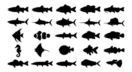 Diverse Aquatic Life Silhouettes: 25 Marine Animal Icons, Ocean Creatures Vector Set, Underwater Wildlife Graphics for Design © Shawkat